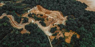 Čtvrtníček, Babčáková, Slezáček a další celebrity vyzývají k ochraně lesů před nešetrnou těžbou