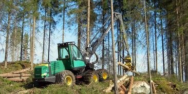 Masakr v českých lesích má na kontě miliony tun skleníkových plynů