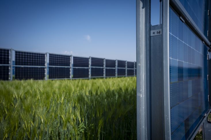Solární panely a zemědělská produkce na jednom a tom samém místě