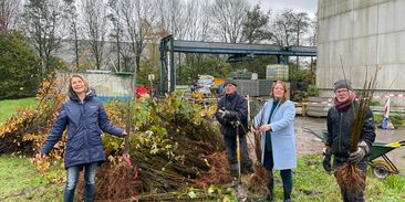 Každý strom se počítá: neziskovka hledá klíč k tomu, jak zdarma zajistit rozvoj lesů