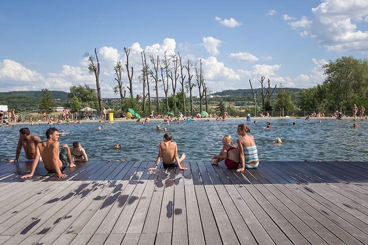 FOTO: Rostislav Zapletal, Biotop Radotín