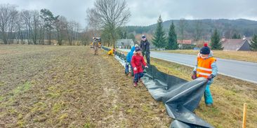 Zábrany podél silnici zachrání až 40 tisíc zvířat ročně. Peníze na ně ale chybí