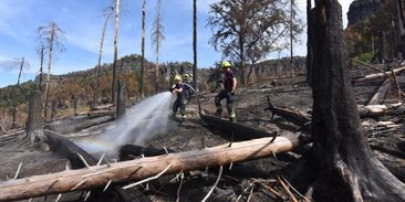 Ministr Jurečka: Změna klimatu zvyšuje riziko lesních požárů. Podle hasičů byl loňský rok extrémní a bude hůř