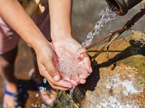 Světový den životního prostředí se slaví již 49. rokem, výzvou je klimatická změna