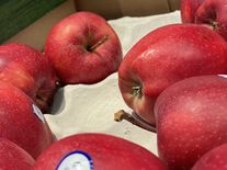 Jen oloupat nestačí. Pesticidy v jablkách zůstávají i po uvaření