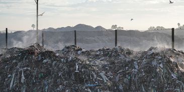 Metan kromě lidské činnosti produkuje i příroda. Může pomoci zmírnit změny klimatu?