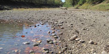 Sucho, miliony uprchlíků a tropické nemoci. Změna klimatu není výhra