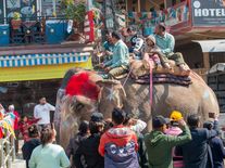 V Indonésii už se na slonech nesvezete, země zakázala kontroverzní turistickou atrakci