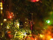 Kolik stojí vánoční elektřina? Světýlka vypínat nemusíte, dražší je příprava večeře nebo cukroví