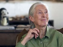 Jane Goodall: Pokud chcete změnit svět, změňte sebe