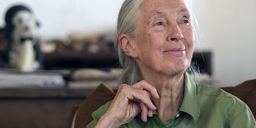 Jane Goodall: Pokud chcete změnit svět, změňte sebe