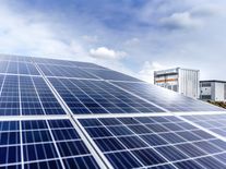 Fotovoltaický byznys je jako jízda na tygrovi. Trh pročištění potřebuje, říká šéf Woltair