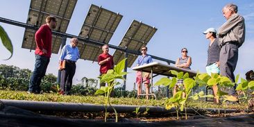 Vědecky potvrzeno: spojení zemědělství a solární energetiky nese vyšší sklizeň