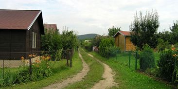 Česko přišlo o 2 tisíce zahrádkářských osad. Zahrady přitom pomáhají čelit změně klimatu