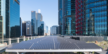 Dokonalá kombinace: spojení zelené střechy a solárních panelů zajistí vyšší výrobu