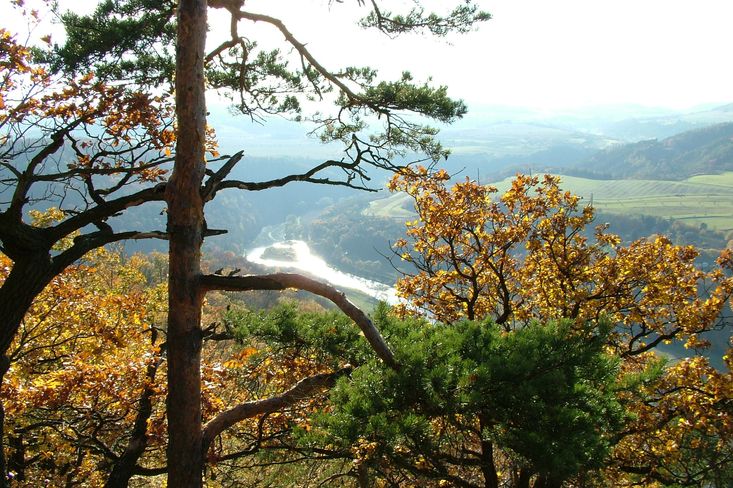 Kolem vzniku Národního parku Křivoklátsko vznikl spor mezi místními a státem (ilustrační foto)