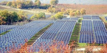 Jak díky agrivoltaice sklidit co nejvíc plodin i elektřiny: vědci radí používat jednoosé trackery