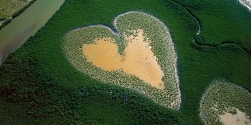 Valentýnský speciál: oslavte svou lásku k partnerovi i planetě