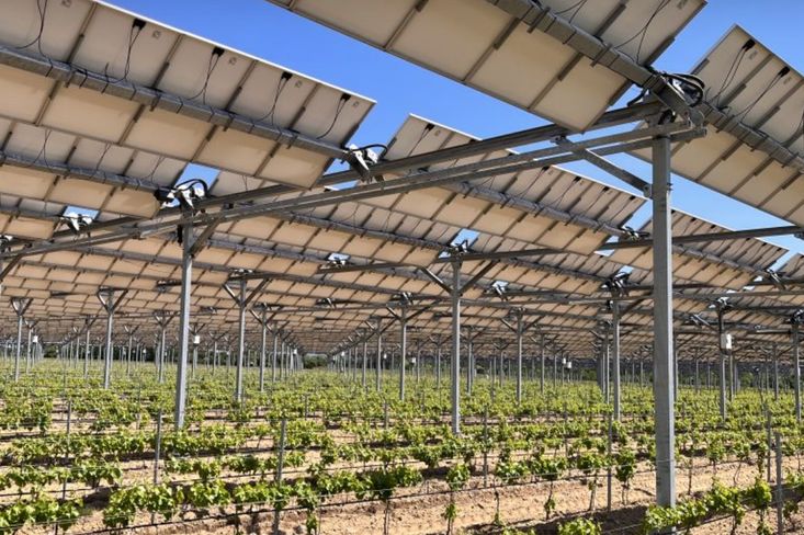 Solární panely poskytnou plodinám vítanou ochranu před extrémním počasím