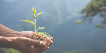 Nadace Partnerství hledá srdcaře a adepty na environmentální Cenu Josefa Vavrouška