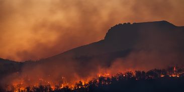 Teplotní rekordy padají jako hrušky. Zvykejte si, je to nový normál, říkají odborníci