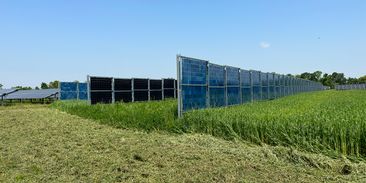 Ministerstvo zemědělství povolilo vertikální agrovoltaiku tak, že ji není kde postavit