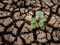 Nejdražší chyba století? Ignorování změny klimatu může stát miliardy