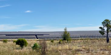 Elektřina zdarma tři hodiny denně. Australský model podporuje stabilitu sítě