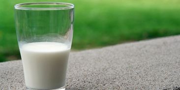 Sója, mandle nebo rýže - jak nahradit běžné mléko a neublížit přírodě?