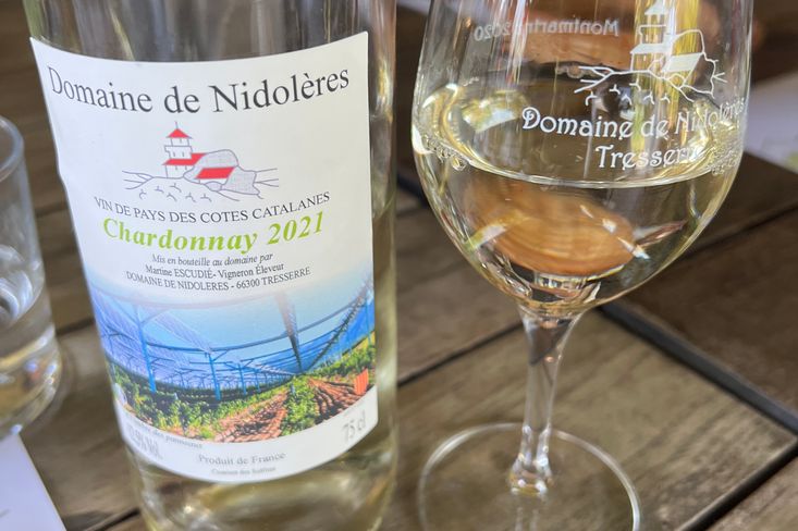 Vinice stíněná solárními panely plodí výborné Chardonnay.