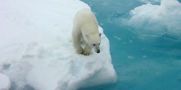 V boji proti změnám klimatu mohou pomoci nové technologie. Dokáží to?