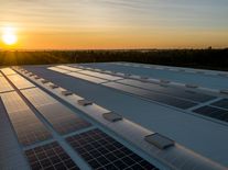 Příliš mnoho slunce? Evropské solární elektrárny čelí klesající ziskovosti