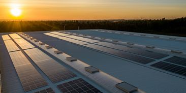 Příliš mnoho slunce? Evropské solární elektrárny čelí klesající ziskovosti