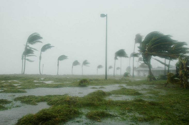 Hurikány jsou nebezpečné kvůli extrémně silnému větru, vlnám a vydatným srážkám.