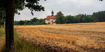 Eroze bere miliony tun půdy. Plzeňské biskupství chce chránit pole agrolesnictvím