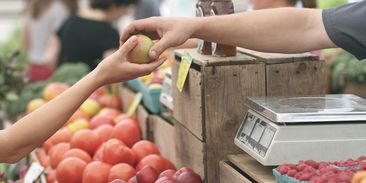 Vláda odstřihla farmářské trhy od zákazníků. Malí a střední zemědělci v ohrožení