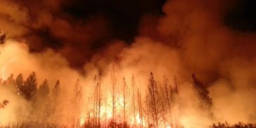 Proč zasáhlo ohnivé peklo Austrálii? Vláda ignorovala varování před změnou klimatu
