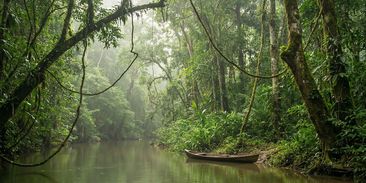 Bez pralesa nebude déšť. Odlesňování Amazonie ohrožuje světovou úrodu