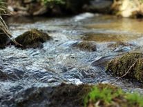 Omnibus Evropské unie: Nenápadný posun pryč od ochrany přírody ve jménu „zjednodušení“