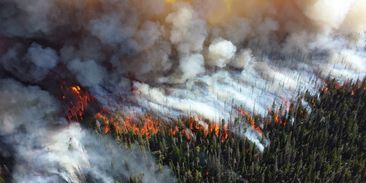 Finančníci volají: zastavme změny klimatu, nebo přijde ekonomická superkrize