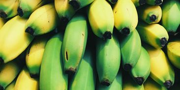 Banán, cestovatel: než dorazí na náš stůl, ujede 8 800 kilometrů
