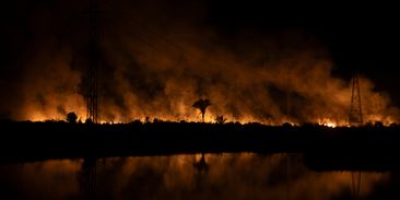 Fotografie plné popela a smutku: Odlesňování vzácných pralesů