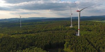 Stavět větrné elektrárny v lese? Budete se divit, ale může to dávat smysl