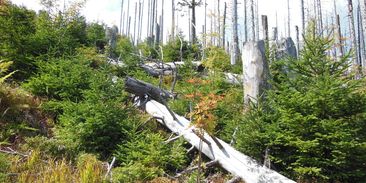 Jak chce vláda chránit přírodu? Nevíme. Víme ale, co chce zrušit