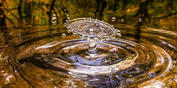 Americké úřady varují před trendem pití „raw“ vody. Může způsobit těžké infekce