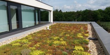 S květinami nad hlavou. Plocha zelených střech v Česku se zdvojnásobila