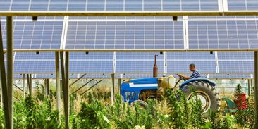 V Česku vzniká první větší projekt spojující zemědělství a výrobu solární energie