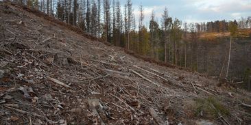 Sliby-chyby? Česko mohutně pokulhává v ochraně klimatu